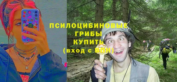 герыч Арсеньев