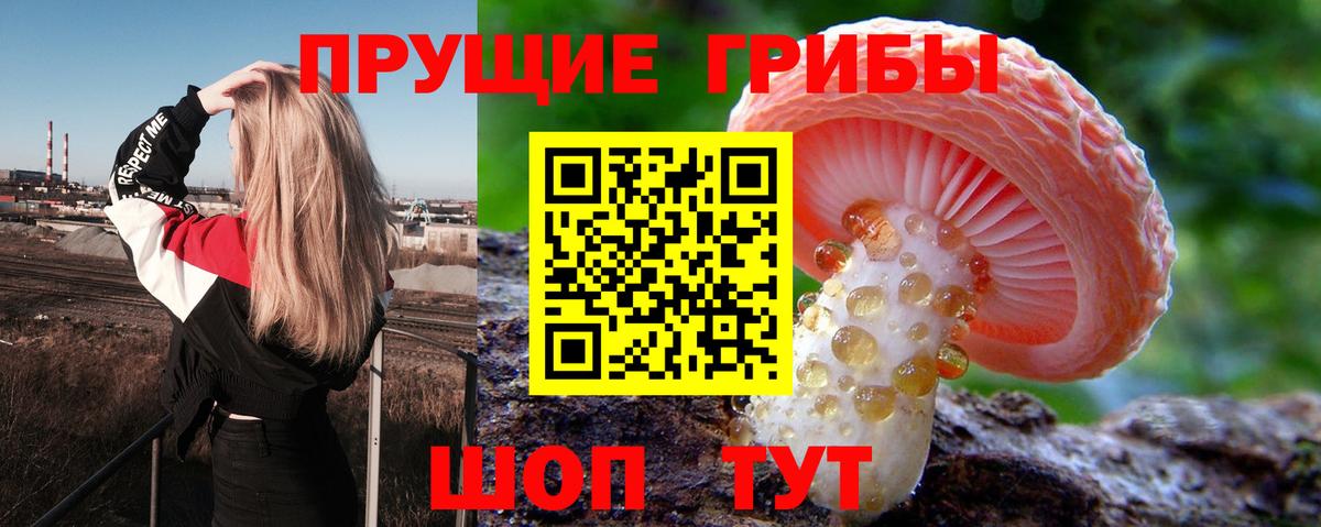 Псилоцибиновые грибы Magic Shrooms  Псилоцибиновые грибы прущие грибы  Вход с VPN  Бирск 