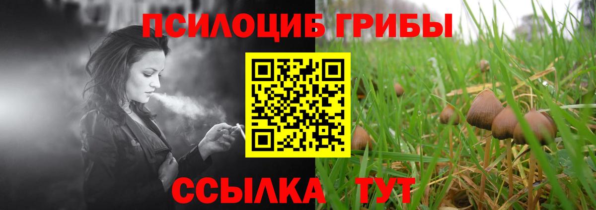 Галлюциногенные грибы прущие грибы Бирск