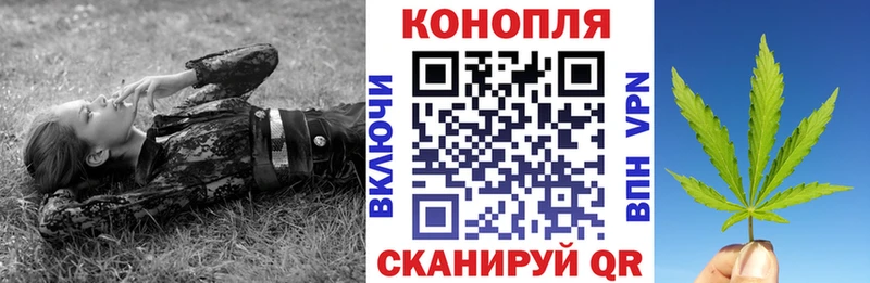 дарк нет Telegram Бирск Каннабис тримм